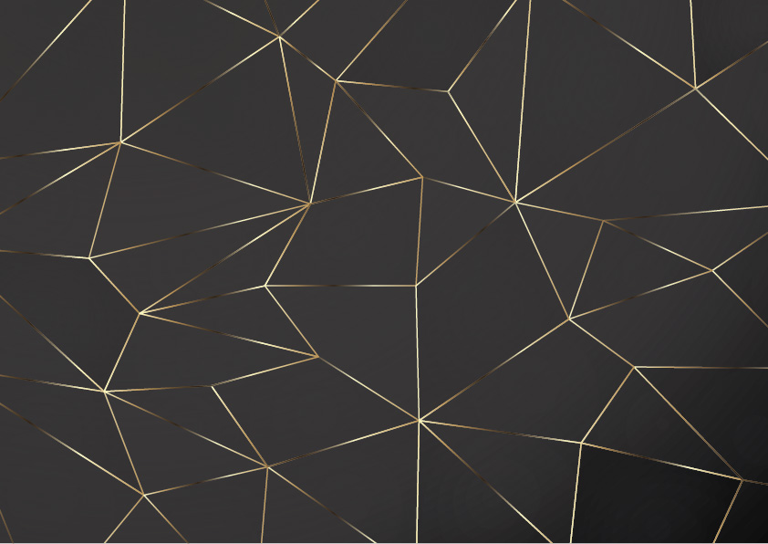 2069553 01 טפט גיאומטרי שחור זהב