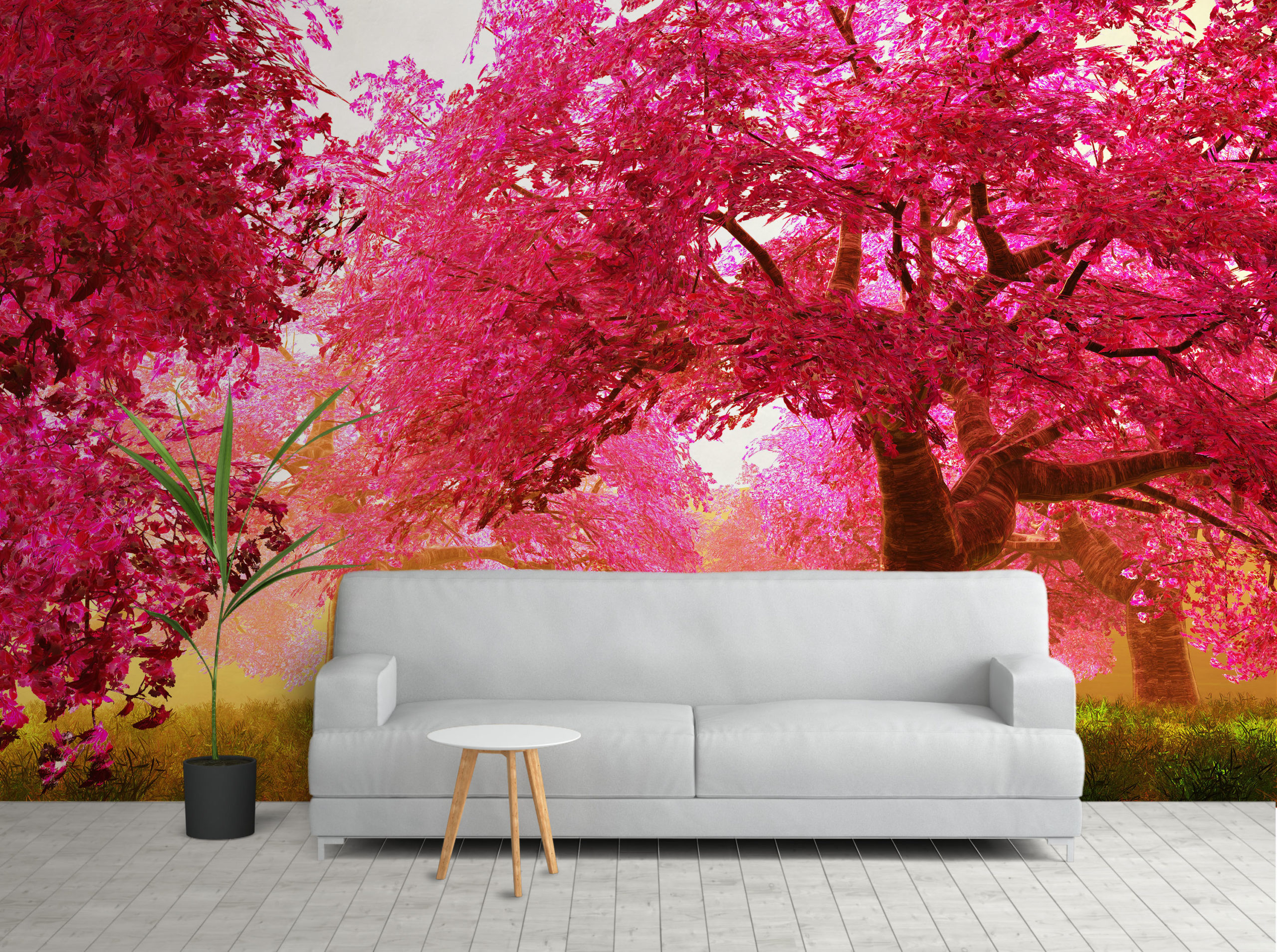 9107099 hadmaya scaled