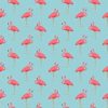 flamingo pattern