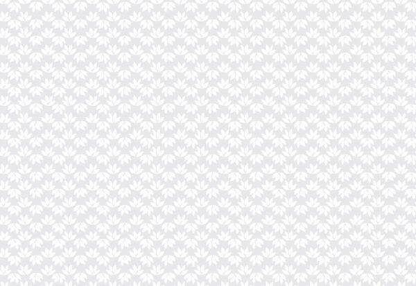 115569 01